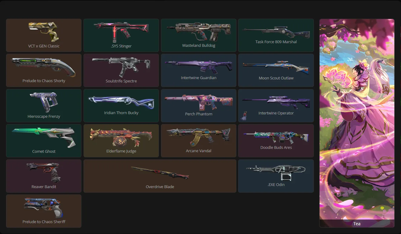 Full equipped loadout of a player